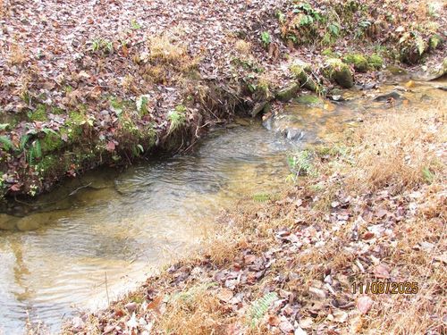 Tract 6 Wikle Road, Hayesville, NC, 28904 | Card Image