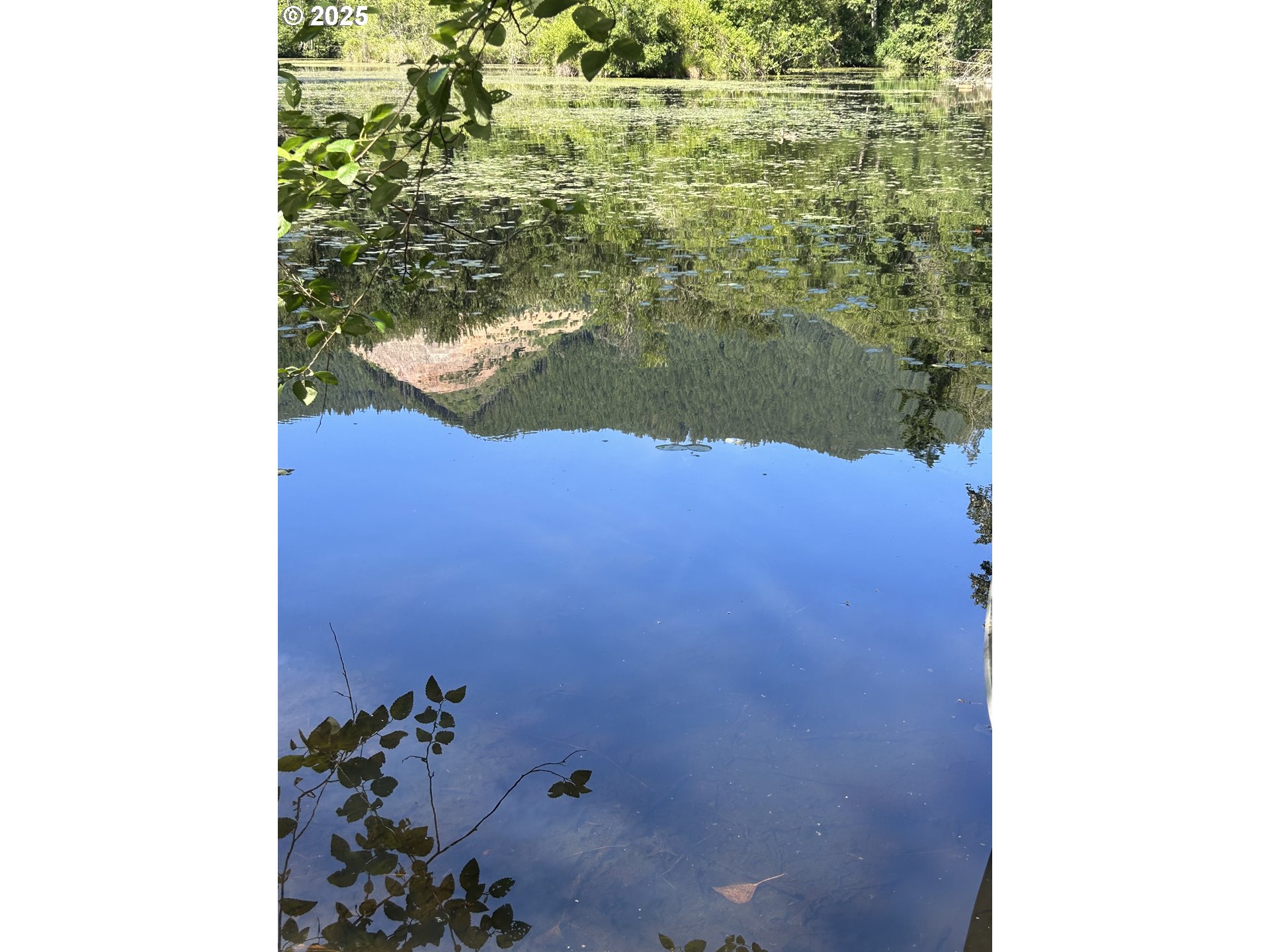 Land in Brightwood 5