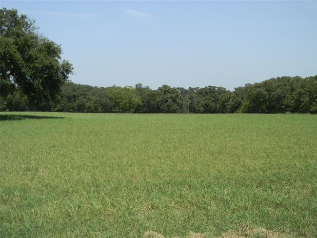 Notice the lovely trees in the back of the property | Image 4