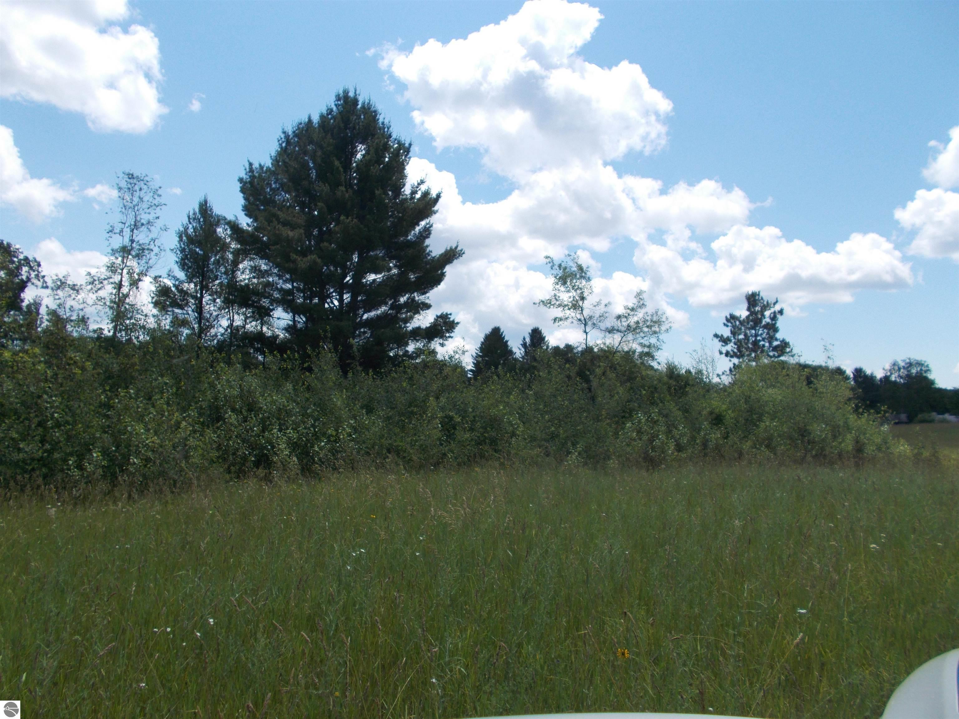Kings Corner Rd, Glennie, MI 48737