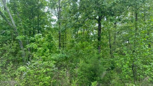 0 Hopewell Church Rd, Finger, TN, 38334 | Card Image