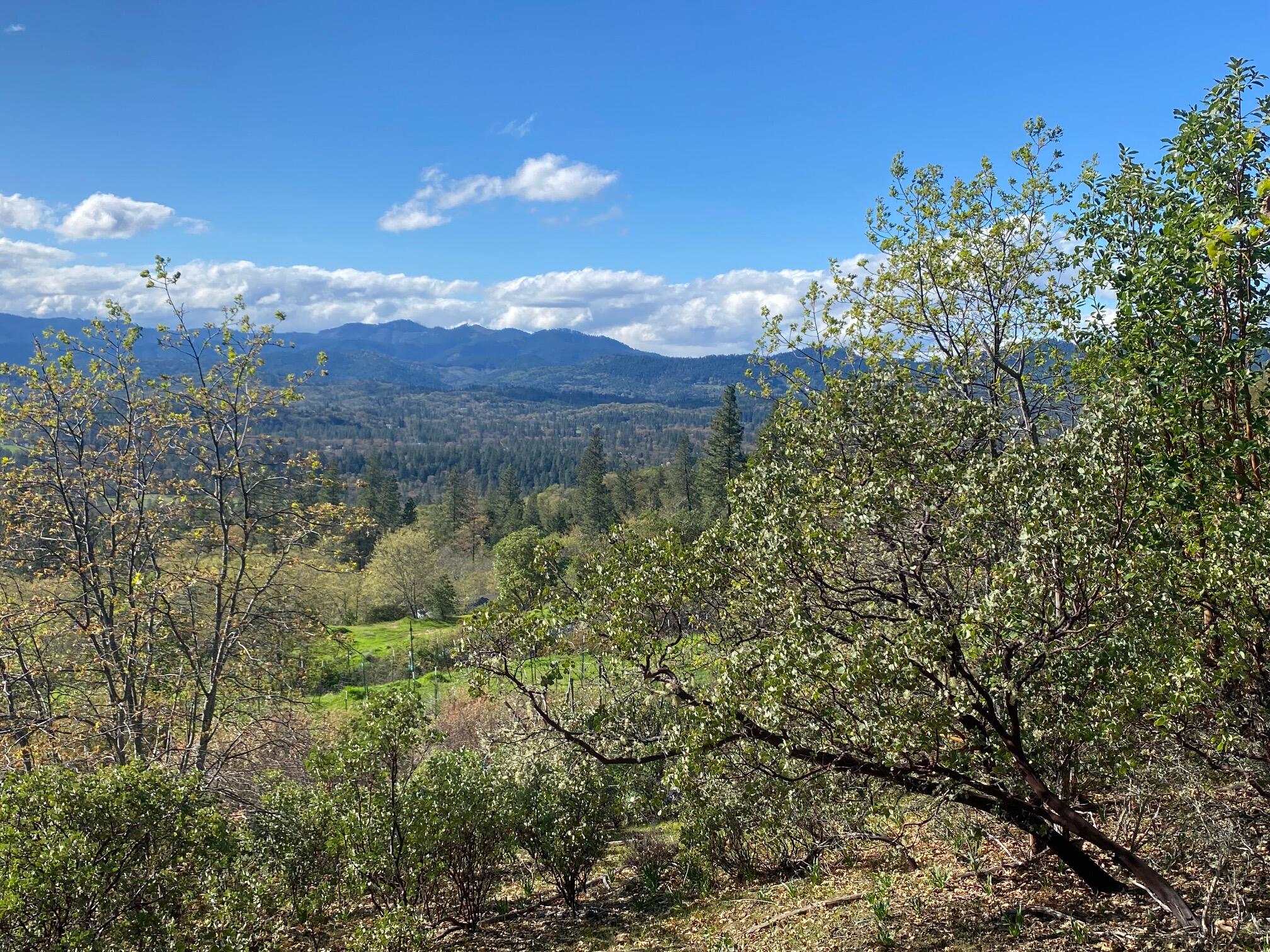 Land in Grants Pass