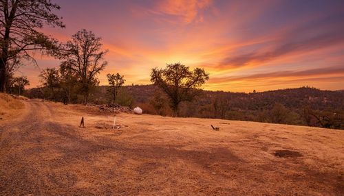 141 Gold Pan Ct, Bangor, CA, 95914 | Card Image