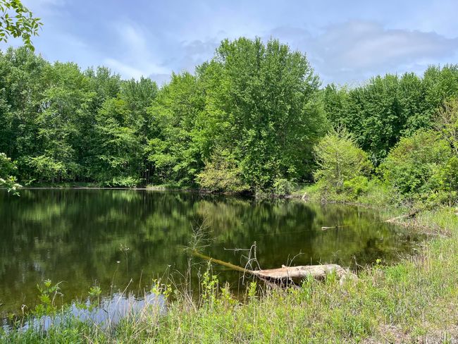 789 7 Th St, House other with 3 bedrooms, 1 bathrooms and null parking in Plainwell MI | Image 16