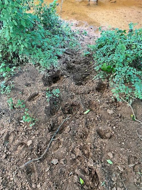 40 Acres Mol North Highway 74 And Cr 69, Crescent, OK, 73028 | Card Image