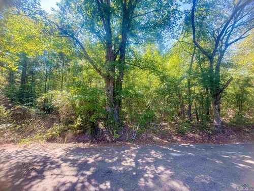 TBD Jonquil Rd, Gilmer, TX, 75645 | Card Image