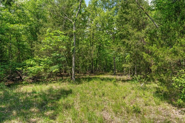 View of nature with a forest view | Image 12