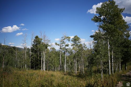 d91-2481 Forest Meadow Rd, Wanship, UT, 84017-9316 | Card Image