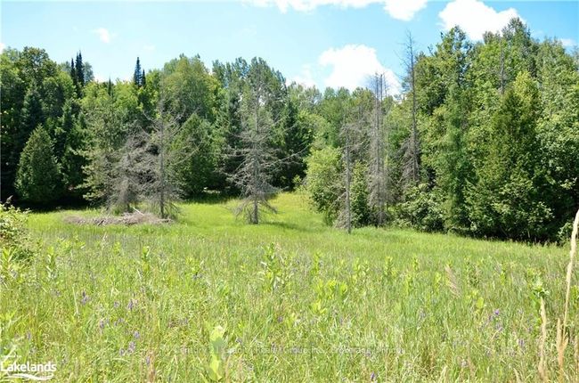9717 Highway 118, House other with 2 bedrooms, 2 bathrooms and 8 parking in Algonquin Highlands ON | Image 28
