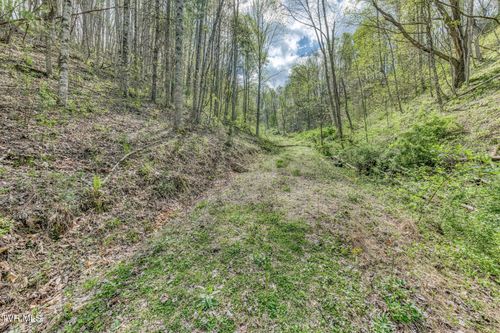 Tbd T Greer Rd, Mountain City, TN, 37683 | Card Image
