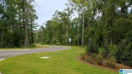 11-11 Chelsea Highlands Pkwy, Columbiana, AL, 35051 | Card Image