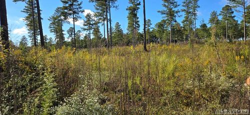 Lot 9 Millville Rd, Lawrenceville, VA, 23868 | Card Image