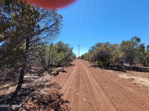 TBD Co Rd 3113, Vernon, AZ, 85940 | Card Image