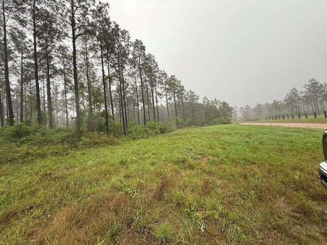0 Richardson Rd E, Home with 0 bedrooms, 0 bathrooms and null parking in Livingston TX | Image 50