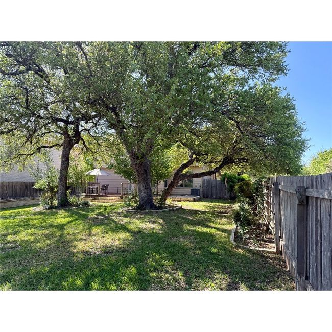Backyard has awesome shade trees | Image 4