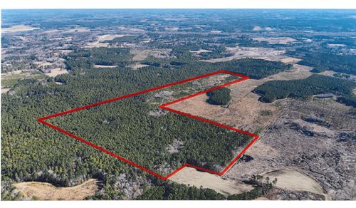0 Gabes Place, Reevesville, SC, 29471 | Card Image