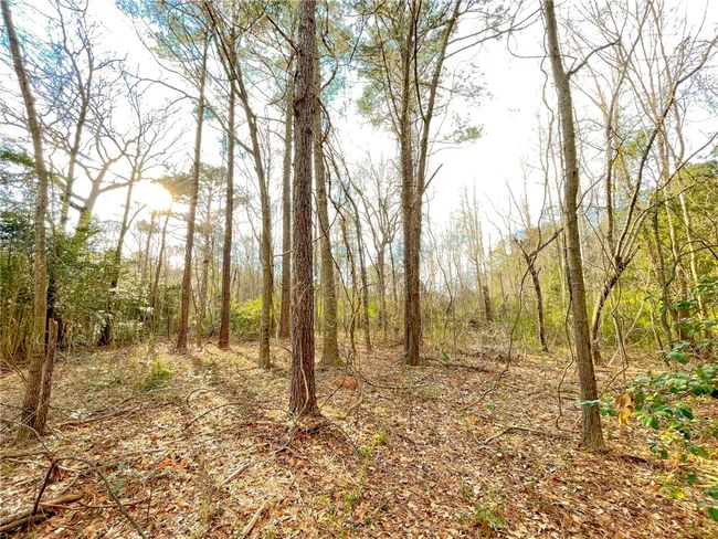 00 New Bridge Rd, Home with 0 bedrooms, 0 bathrooms and null parking in Mc Coll SC | Image 4