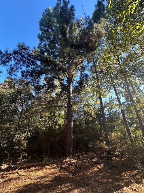 5 N Buffalo Ave, Buffalo, TX, 75831 | Card Image