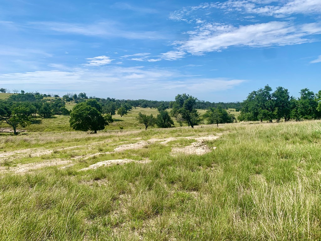 Land in Fredericksburg 4
