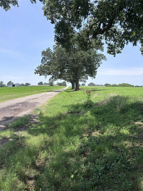 Lot 5 CR 3385 Fm 900, Saltillo, TX, 75478 | Card Image