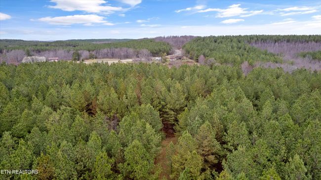 0 Morgan Co Hwy, Home with 0 bedrooms, 0 bathrooms and null parking in Sunbright TN | Image 12