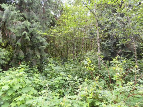 0 xxx Sylvan Way, Longview, WA, 98632 | Card Image