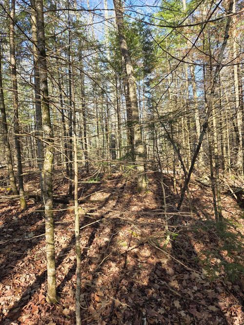 lot-2-ON Northwoods Ln, Elcho, WI, 54428 | Card Image