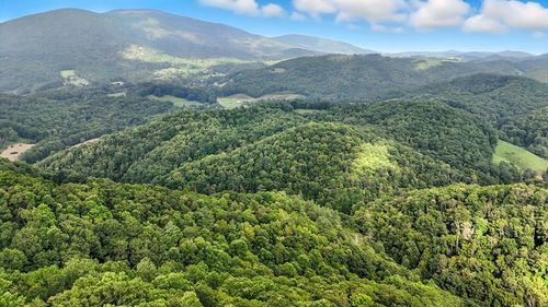 TBD Buckeye Hollow Rd, Damascus, VA, 24236 | Card Image