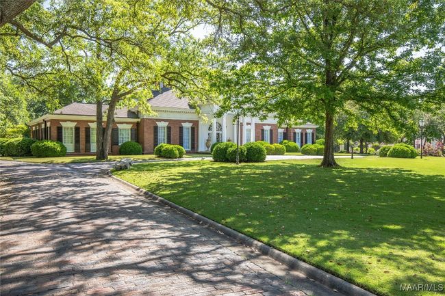 Magnificent trees and landscaping | Image 53