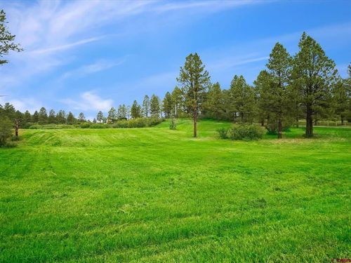 XE W Morning Glory Dr, Pagosa Springs, CO, 81147 | Card Image