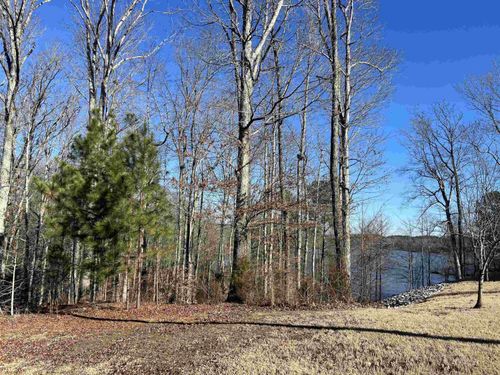 0 Excalibur Trail (Lot 237), Cedar Grove, TN, 38321 | Card Image