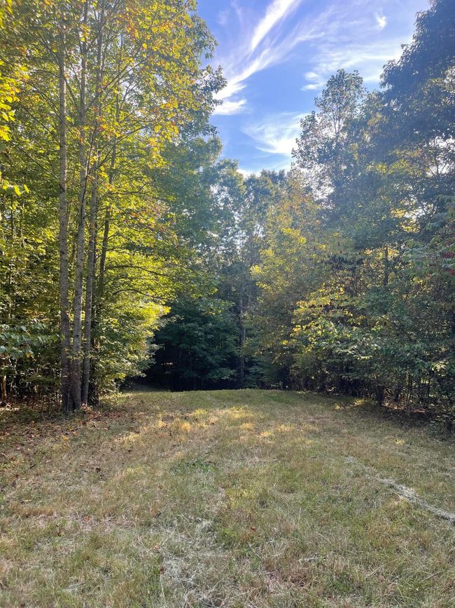 450 County Road 28, House other with 4 bedrooms, 3 bathrooms and null parking in Calhoun TN | Image 119