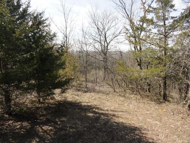 10.45 Acres Ringhand Rd, Home with 0 bedrooms, 0 bathrooms and null parking in SYLVESTER WI | Image 42