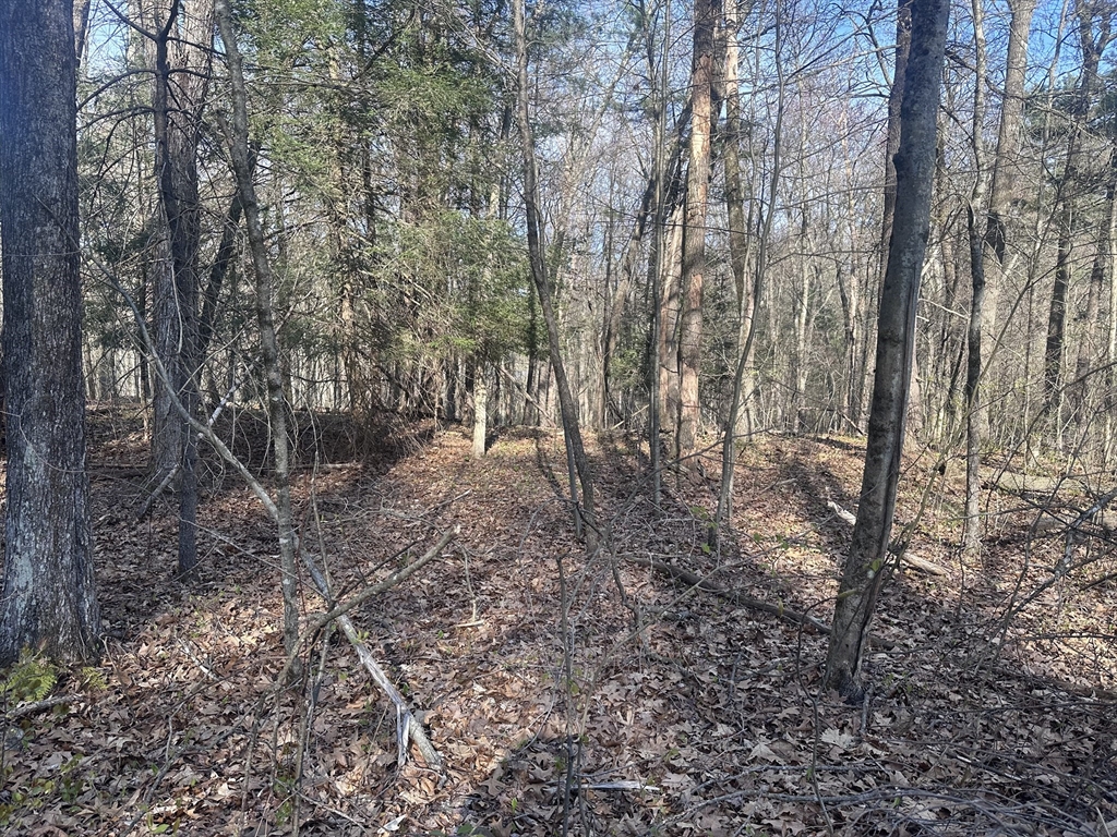 Land in Warren 3