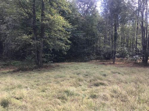 91-acres-land-TBD Farmhouse Trail, Morehead, KY, 40351 | Card Image