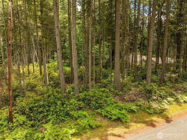 10409 Tahoma Dr, Home with 0 bedrooms, 0 bathrooms and null parking in Anderson Island WA | Image 16