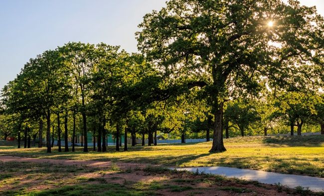 Community Nature Trail | Image 9