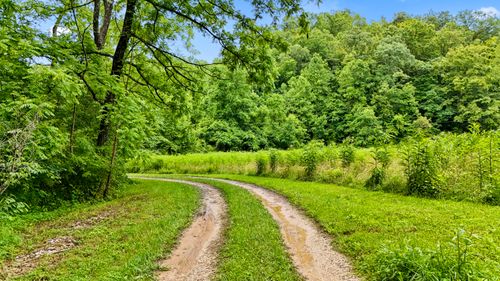 1235 Greenbrier Branch Rd, Campton, KY, 41301-9737 | Card Image