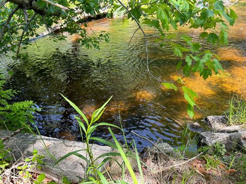 68 Granite Rd, Effingham, NH, 03882-8652 | Card Image