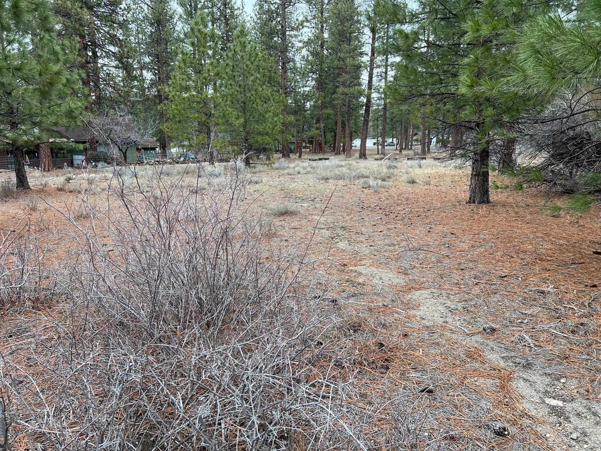 Land in Weed 3