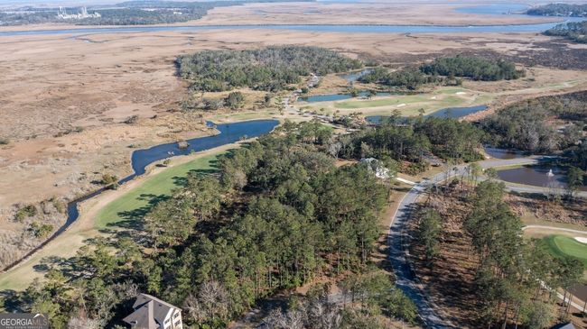 V/L 48 Sanctuary Cove No Street Suffix, Home with 0 bedrooms, 0 bathrooms and null parking in Waverly GA | Image 4
