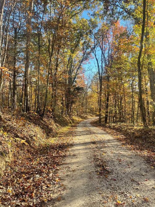 0 Mt Springs Rd, Ravenna, KY, 40472 | Card Image