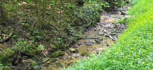 Lot 16 Black Walnut Flats Rd, Sevierville, TN, 37862-7941 | Card Image