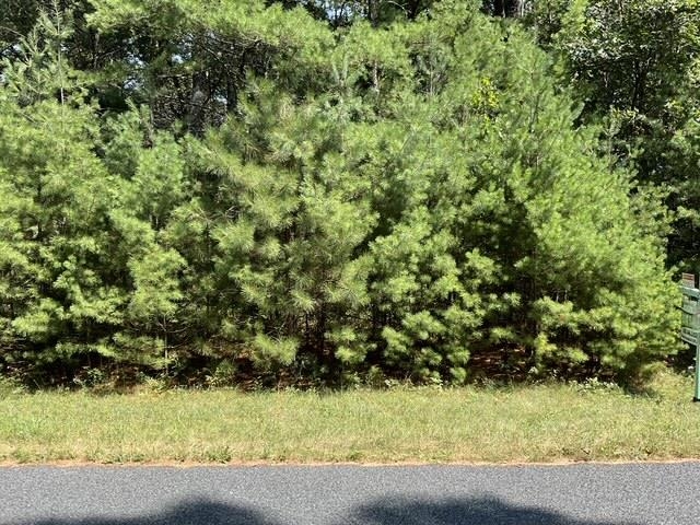 Land in Monroe 2