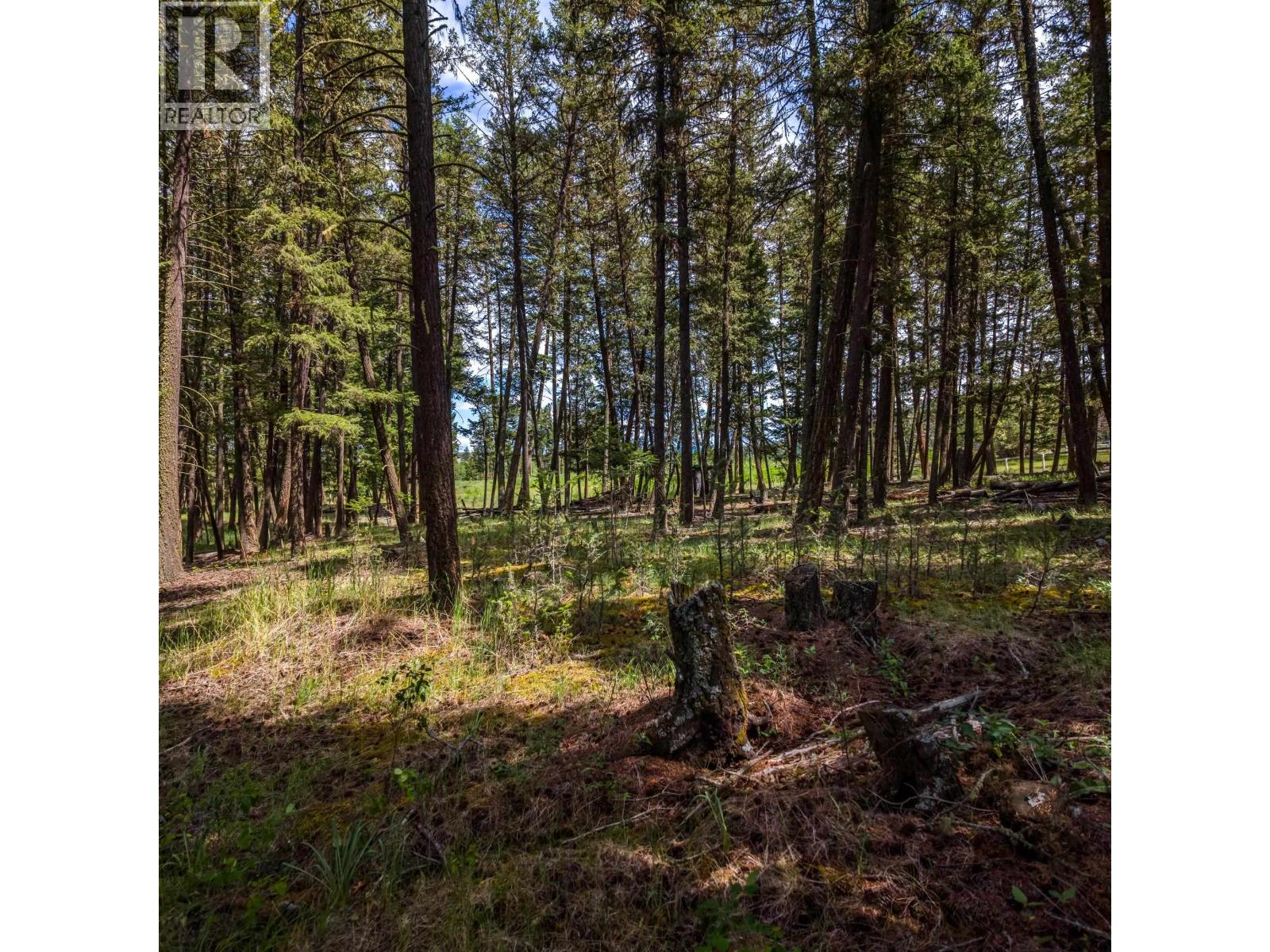 Land in Lac La Hache 4