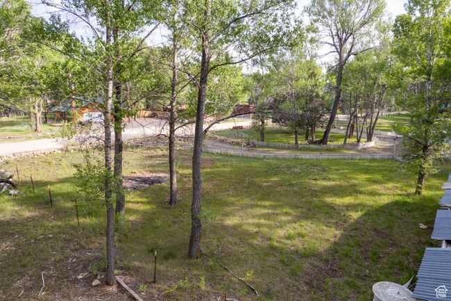 View of green lawn | Image 35