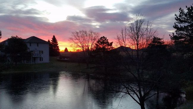 Seller submitted photo of sunrise over the pond! | Image 27