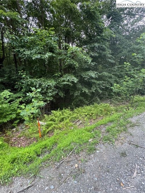 327 Locust Ridge Rd, Beech Mountain, NC, 28604-8035 | Card Image