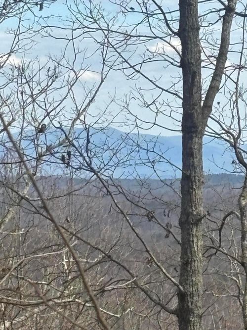 0 Forest Dr, Ringgold, GA, 30736 | Card Image