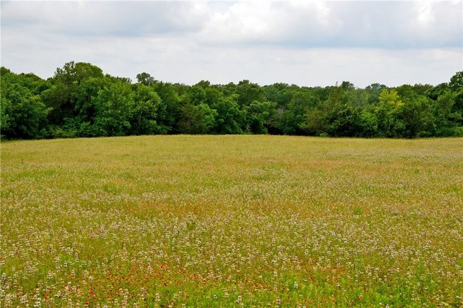 View of nature with rural landscape | Image 41